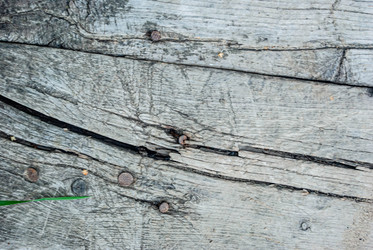 Similar image 21509285