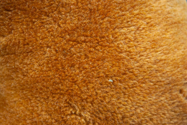 Similar image 21509286