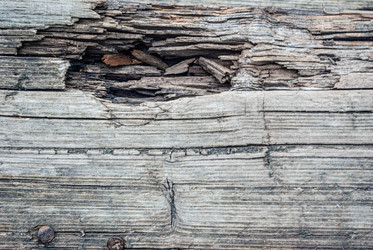 Similar image 21509291