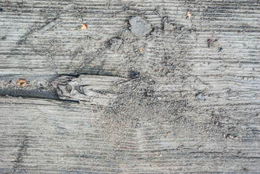 Similar image 21509292