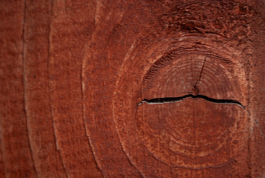 Similar image 21509293