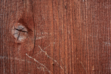 Similar image 21509294