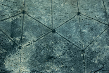 Similar image 21509295