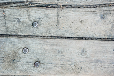 Similar image 21509300