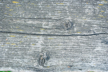 Similar image 21509301