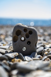 Similar image 21509632