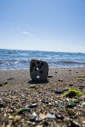 Similar image 21509633