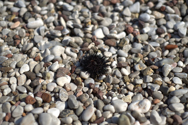 Similar image 21510677