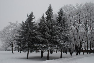 Similar image 21510679