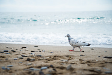 Similar image 21509637