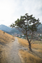 Similar image 21510682