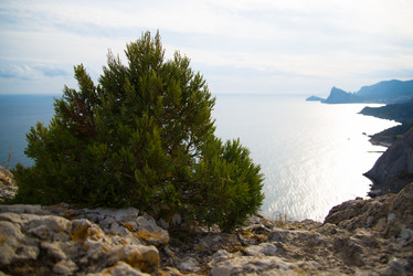 Similar image 21510684