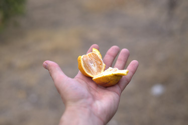 Similar image 21510685