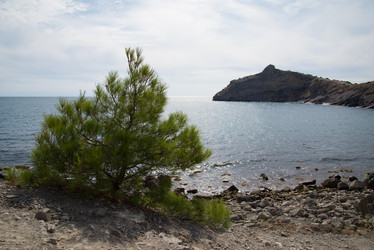 Similar image 21510687