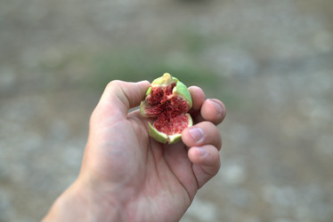 Similar image 21510688