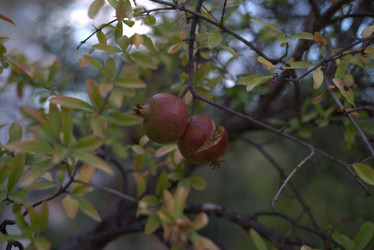 Similar image 21510689