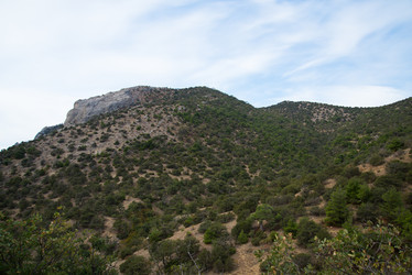 Similar image 21510692