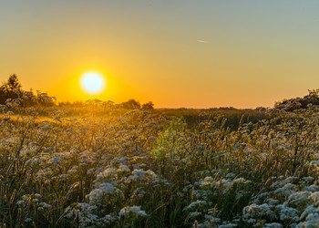 Similar image 21509644