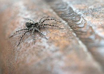 Similar image 21509648