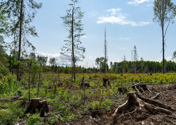 Similar image 21509649