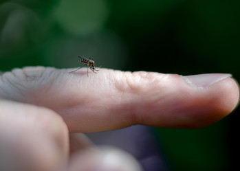 Similar image 21509650