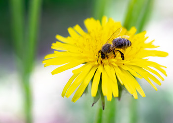 Similar image 21509651