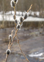 Similar image 21509652