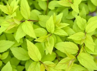 Similar image 21509653