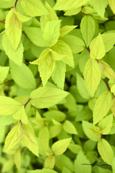 Similar image 21509654