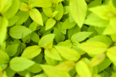 Similar image 21509656