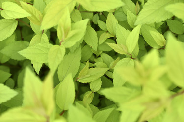 Similar image 21509657