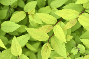 Similar image 21509658