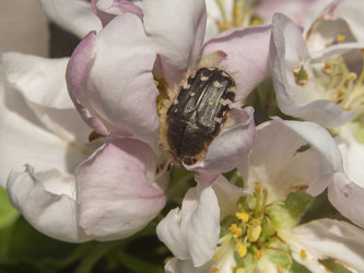 Similar image 21509660