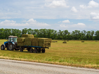 Similar image 21509661