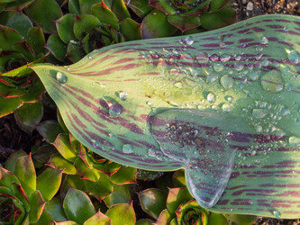 Similar image 21509662