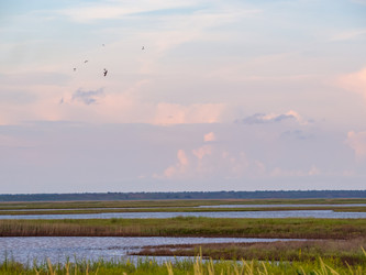 Similar image 21509664