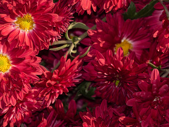 Similar image 21509666