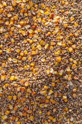 Similar image 21509667