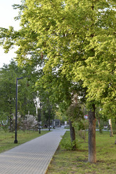 Similar image 21509670