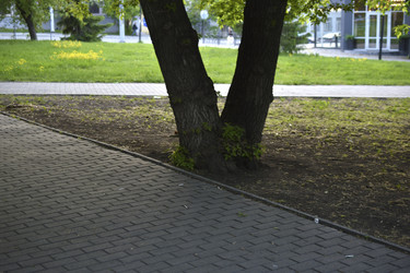 Similar image 21509675