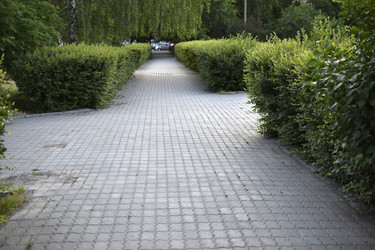 Similar image 21509678