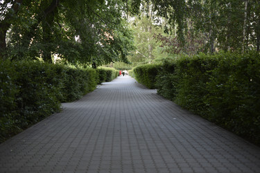 Similar image 21509680