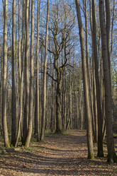 Similar image 21510411