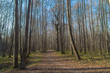 Similar image 21510412