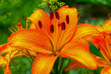 Similar image 21510413