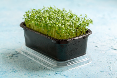 Similar image 21510361