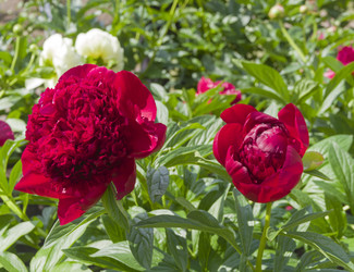 Similar image 21510414