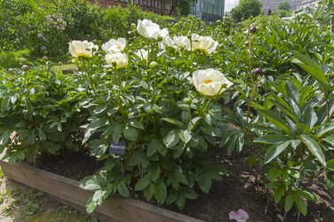 Similar image 21510415