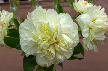 Similar image 21510417