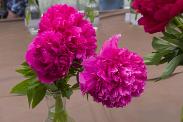 Similar image 21510418